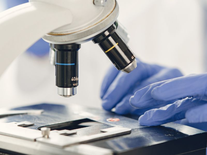 Veterinary staff looking at samples under a microscope