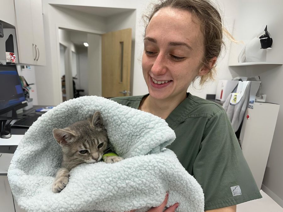 Pine Woods Animal Hospital staff holding a kitten