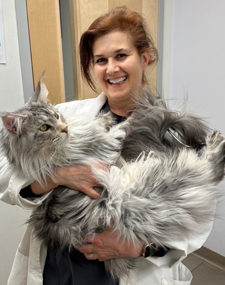 Jennifer J. Johnson, D.V.M