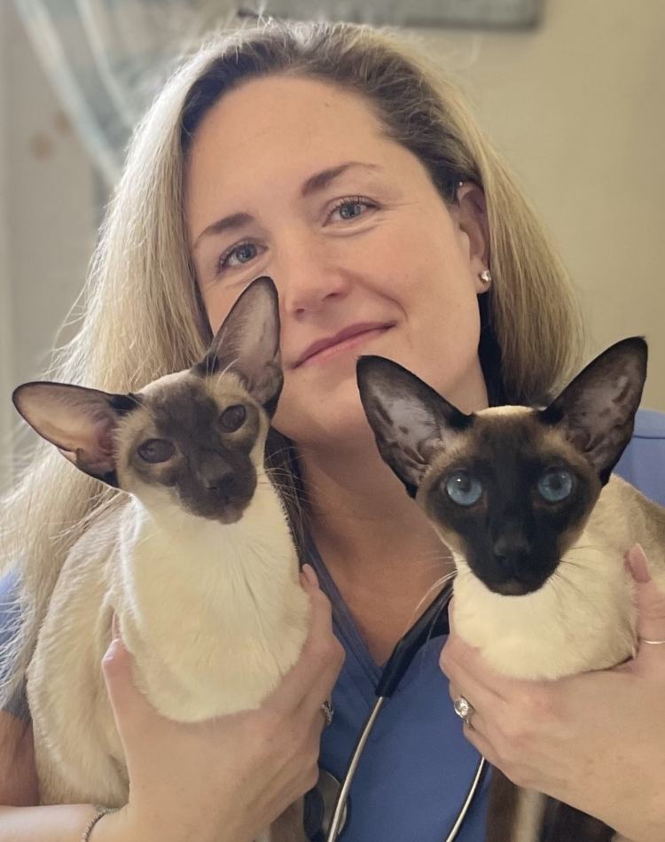 Kirsten Nilson<br />
CVT, Practice Manager<br />
